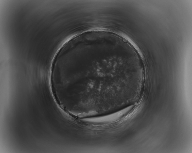 X0000094781245200711161409