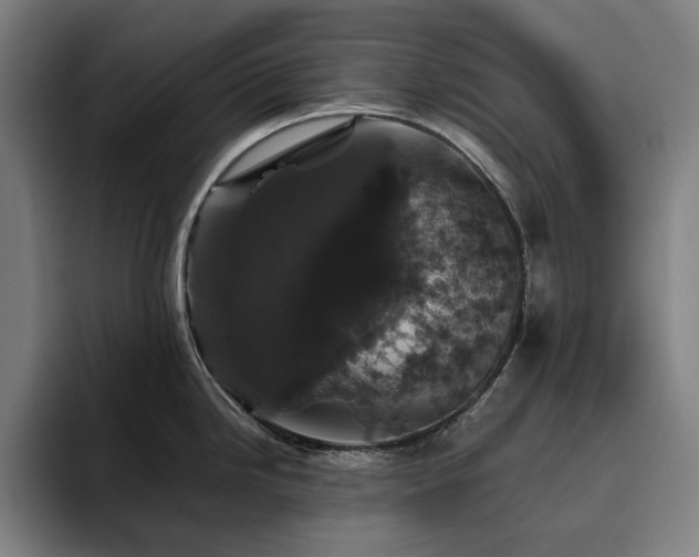 X0000094781246200711161409