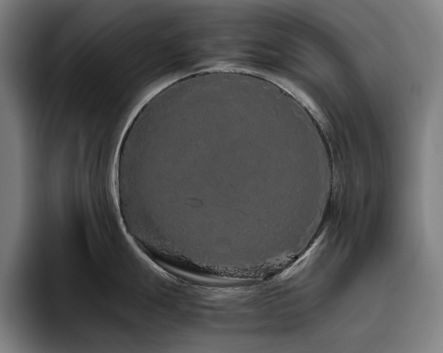 X0000094781247200711161409