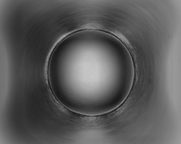 X0000094781248200711161409