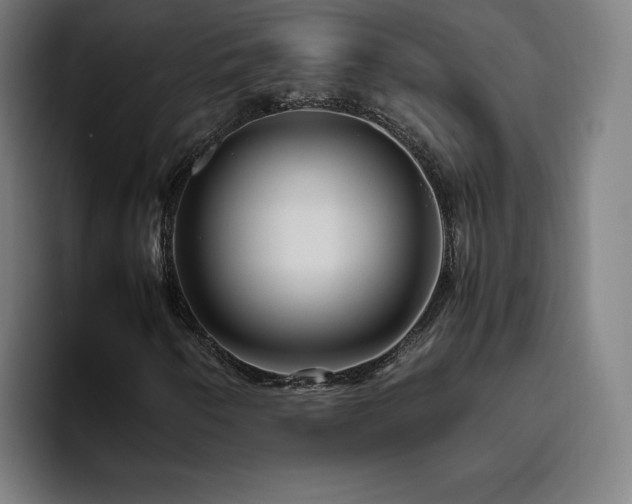 X0000094781250200711161409