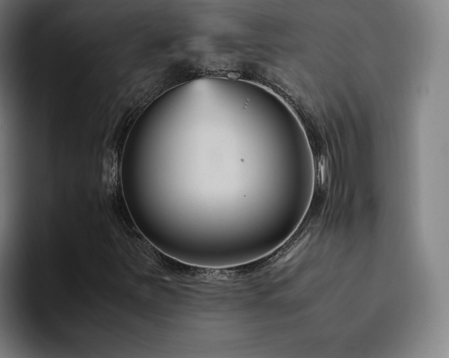 X0000094781251200711161409