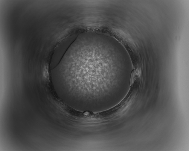 X0000094781252200711161409