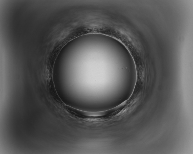 X0000094781253200711161409