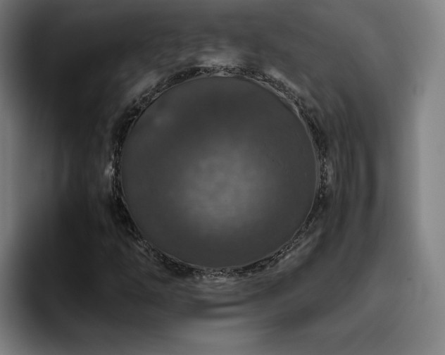 X0000094781254200711161409