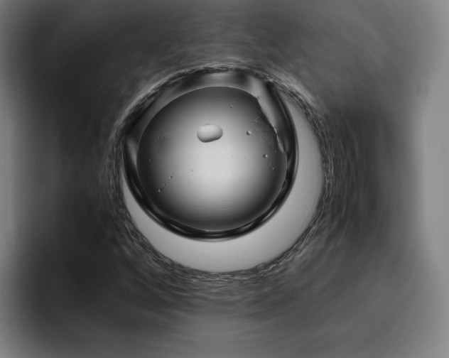 X0000094781256200711161409