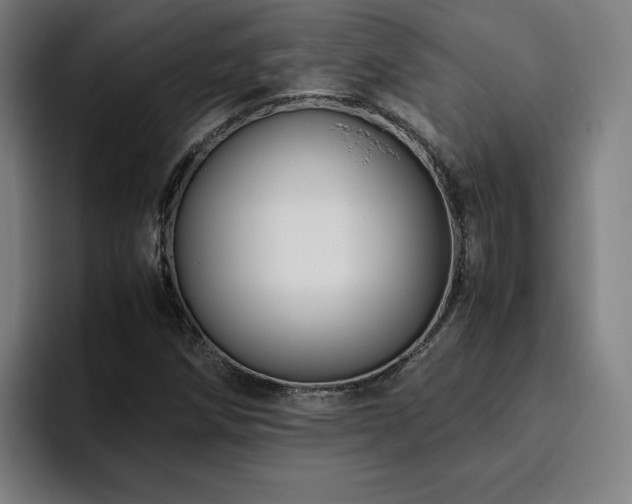 X0000094781258200711161409