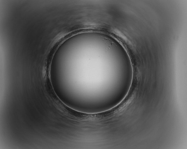 X0000094781259200711161409