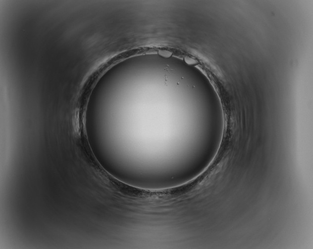 X0000094781262200711161409