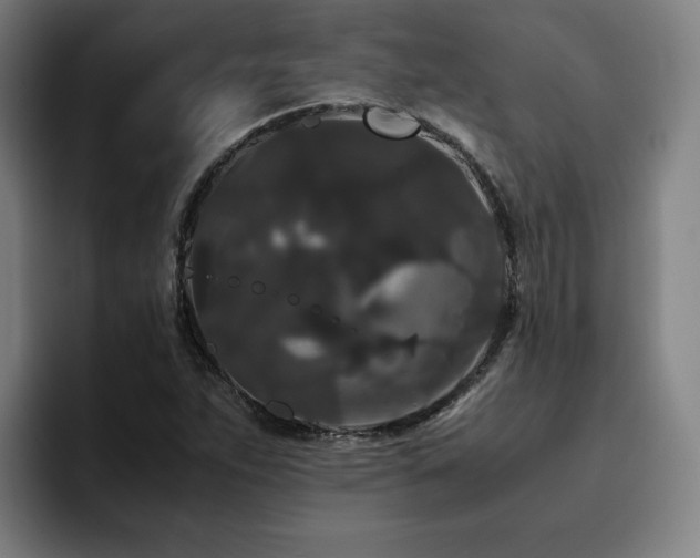 X0000094781263200711161409