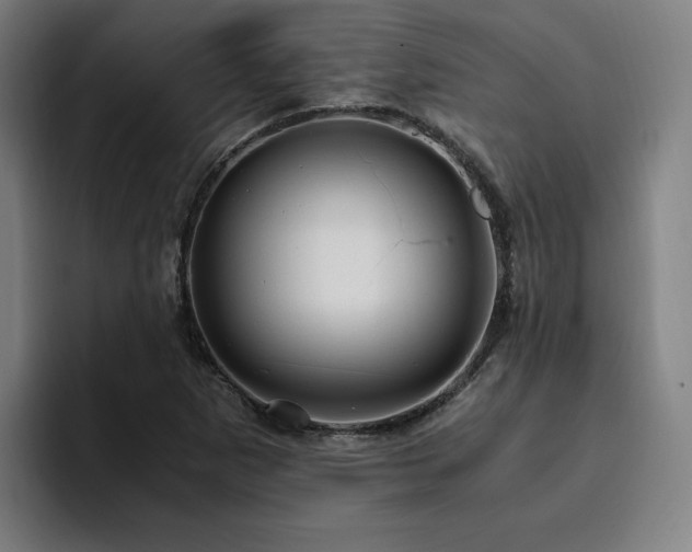 X0000094781265200711161409