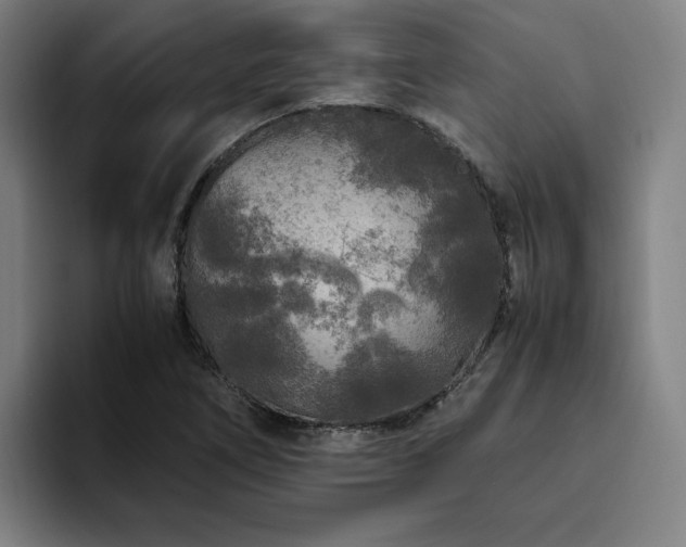 X0000094781266200711161409