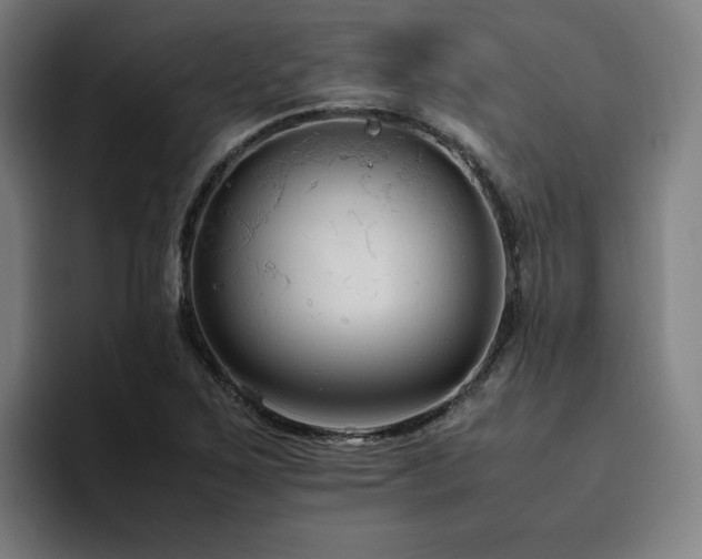 X0000094781267200711161409