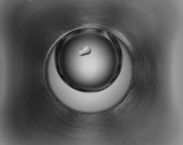 X0000094781268200711161409