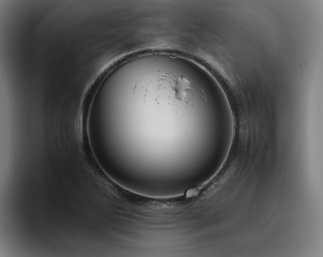 X0000094781270200711161409