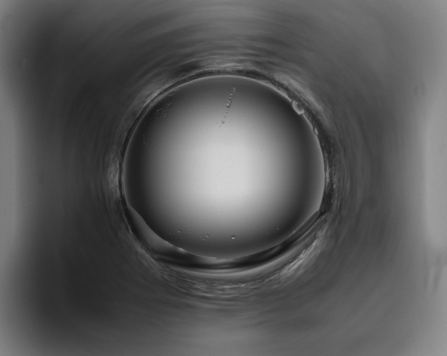 X0000094781273200711161408