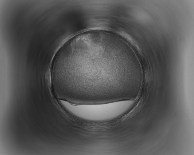 X0000094781274200711161408