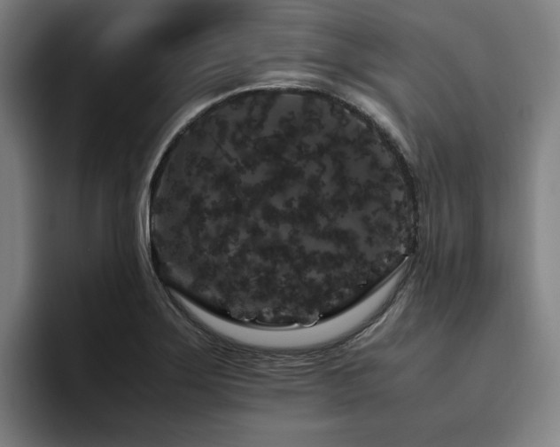 X0000094781275200711161408