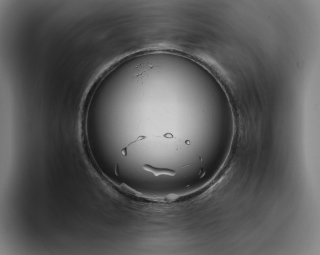 X0000094781278200711161408
