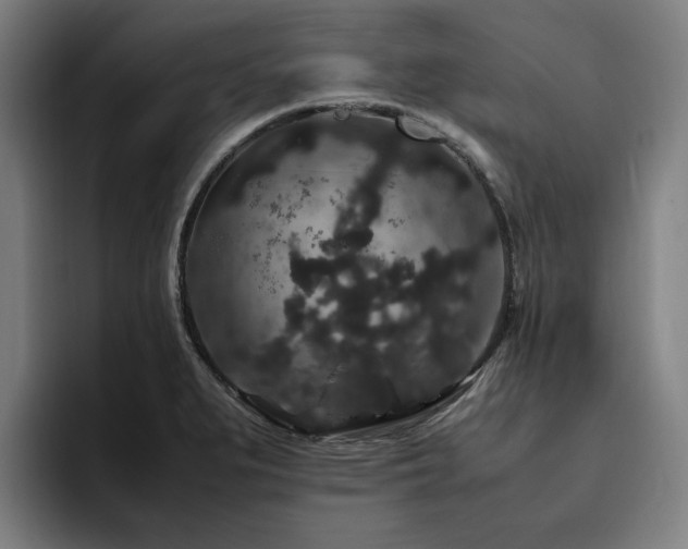 X0000094781279200711161408