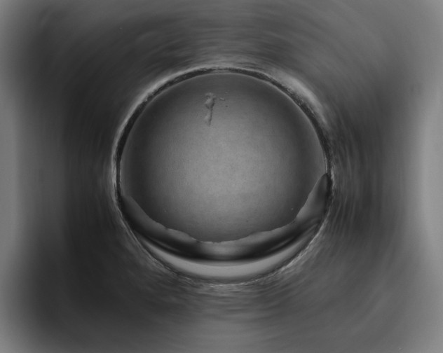 X0000094781280200711161408