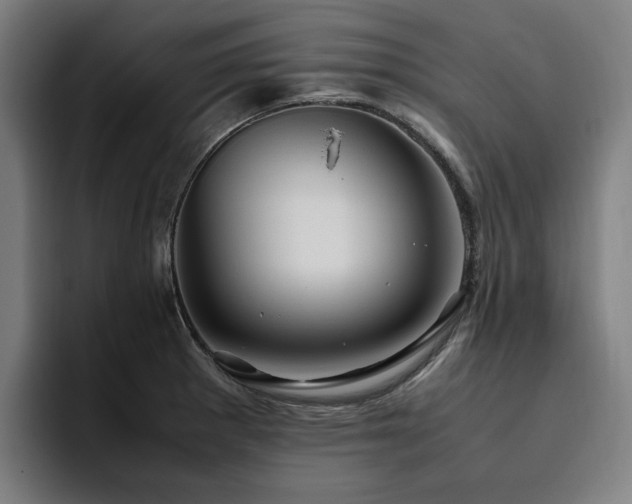 X0000094781281200711161408