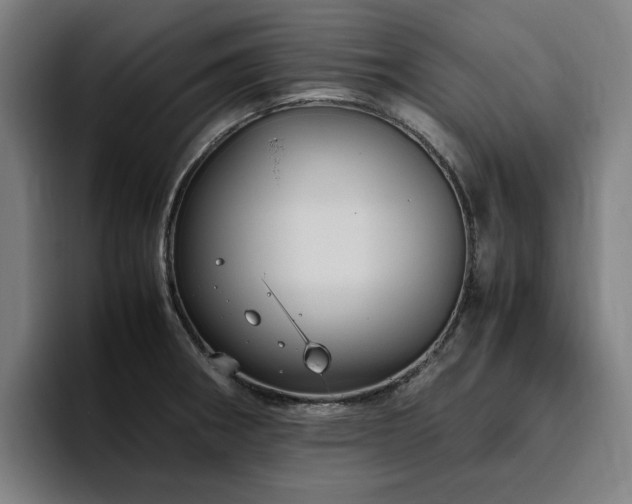 X0000094781282200711161408