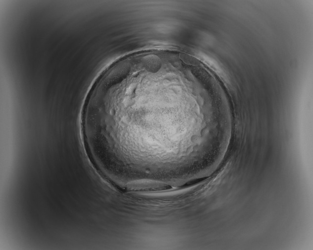 X0000094781283200711161408