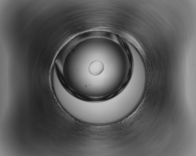 X0000094781284200711161408