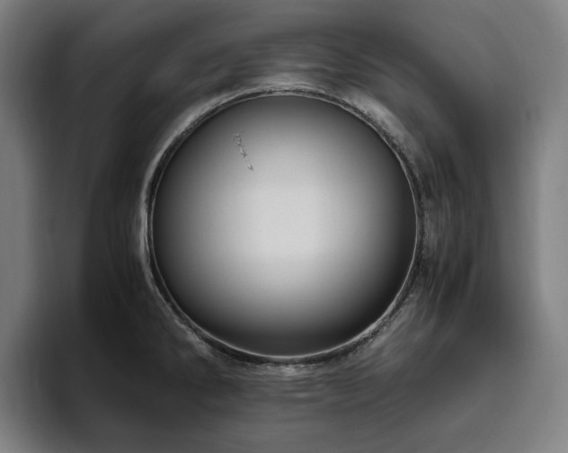 X0000094781286200711161408