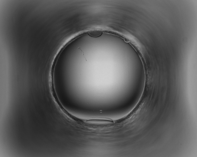 X0000094781287200711161408