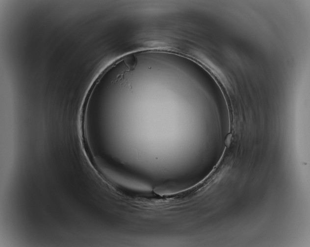 X0000094781291200711161408