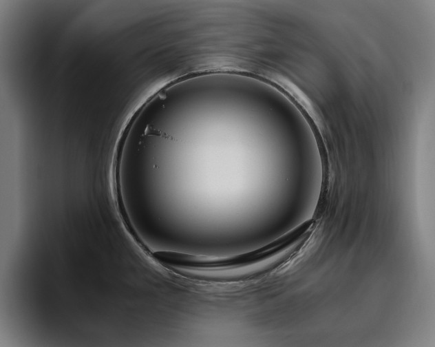 X0000094781293200711161408