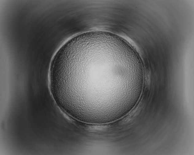 X0000094781294200711161408