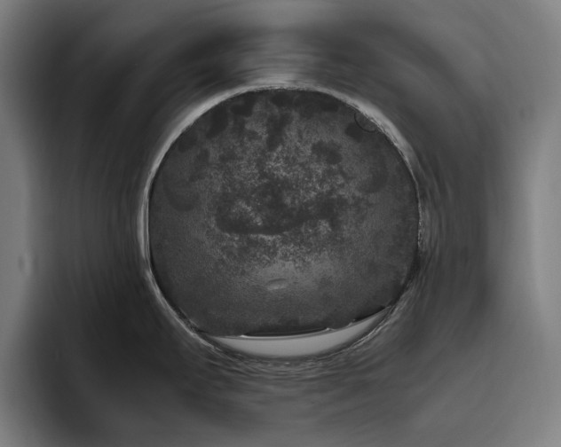 X0000094781295200711161408