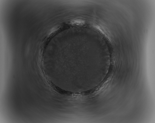 X0000094781297200711161408