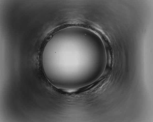 X0000094781304200711161408