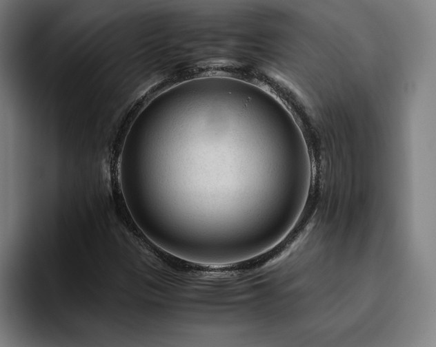 X0000094781305200711161408