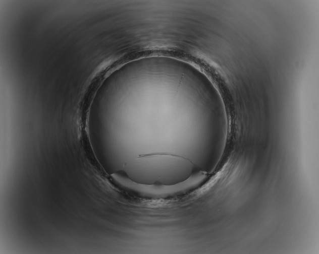 X0000094781306200711161408