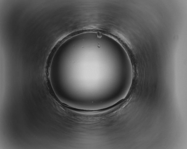 X0000094781308200711161408