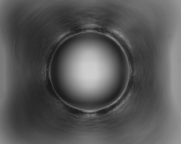 X0000094781313200711161408