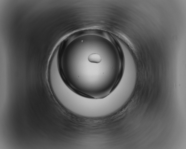 X0000094781324200711161408