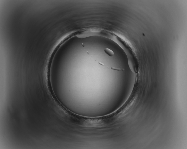 X0000094781325200711161408