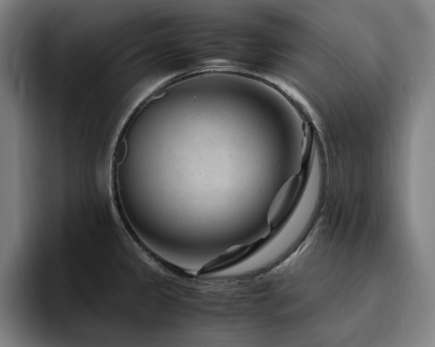 X0000094781333200711161408