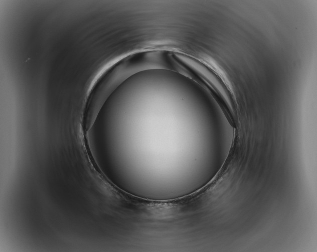 X0000094781336200711161408