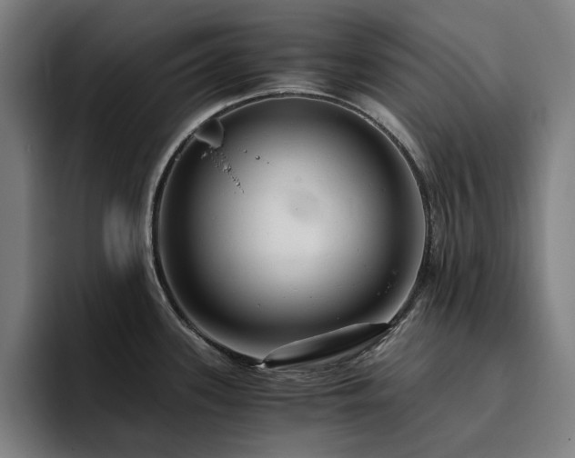 X0000094781339200711161408