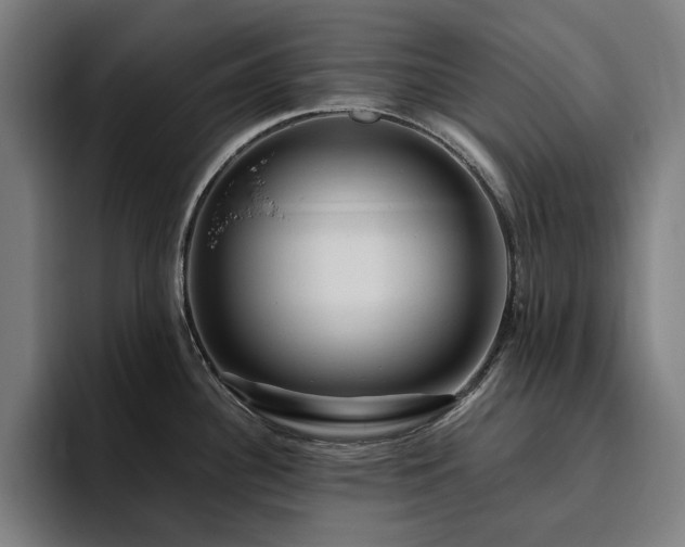 X0000094781340200711161408
