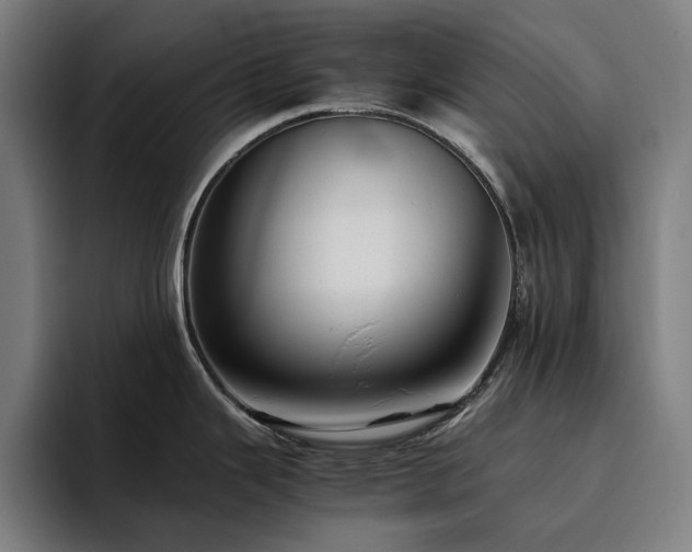 X0000094781343200711161408