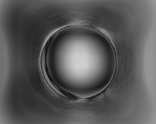 X0000094781344200711161408