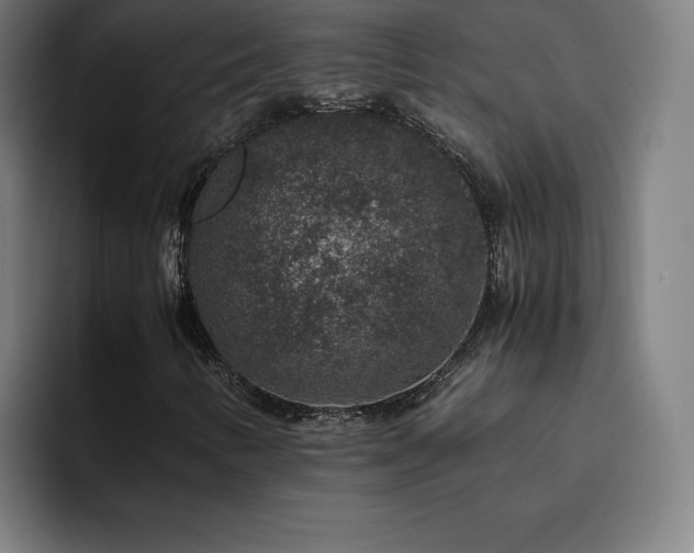 X0000094781346200711161408